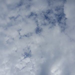 Meet your Posher, Charity